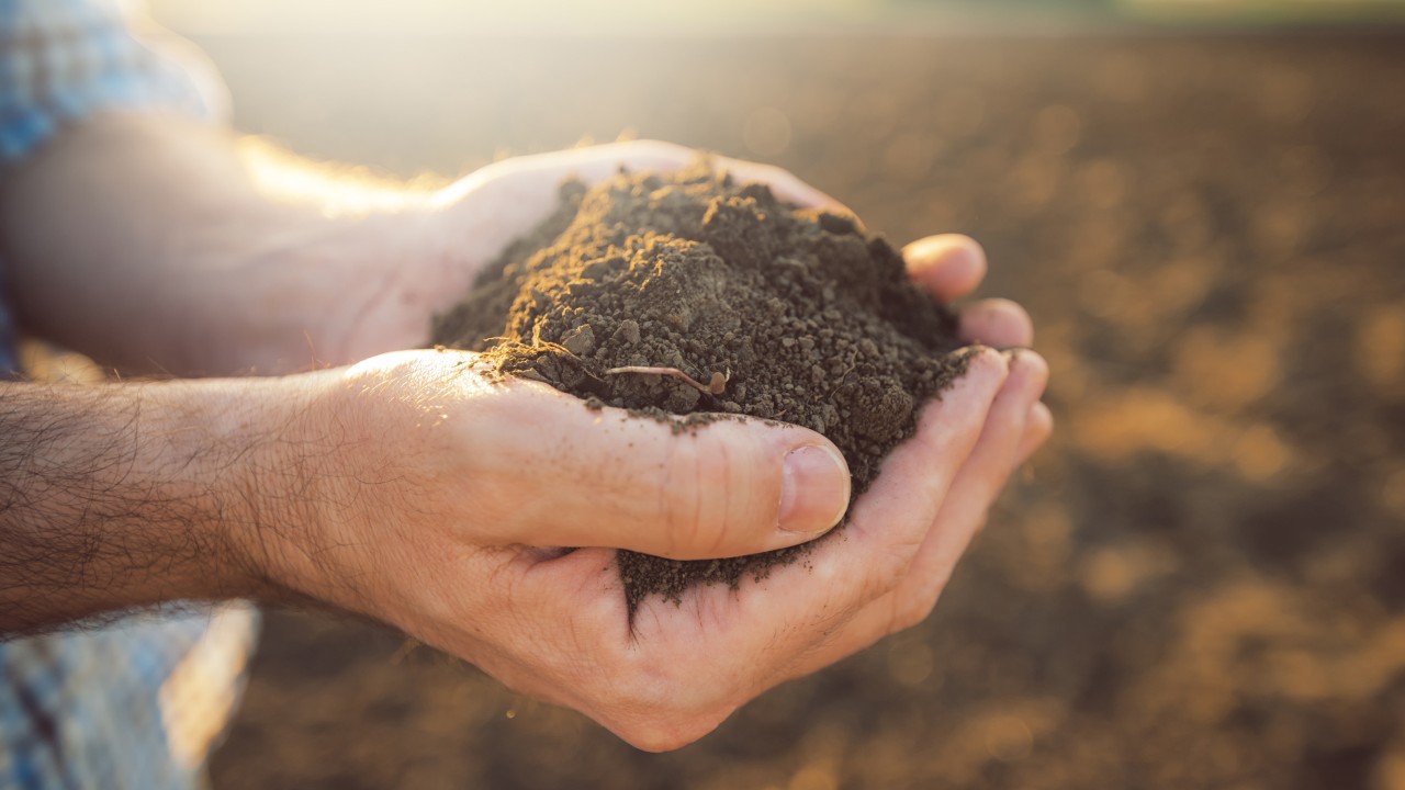 Contaminant Monitoring in Soil by Mass Spectrometry