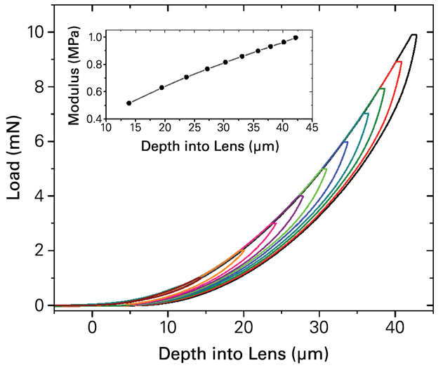 HEMA-Based Contact Lens Load Versus Displacement