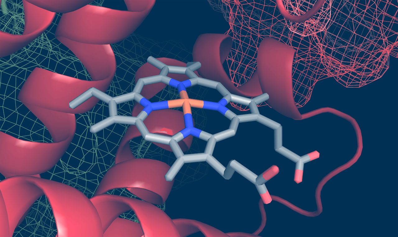 Optimizing Drug Discovery: Surface Plasmon Resonance Techniques