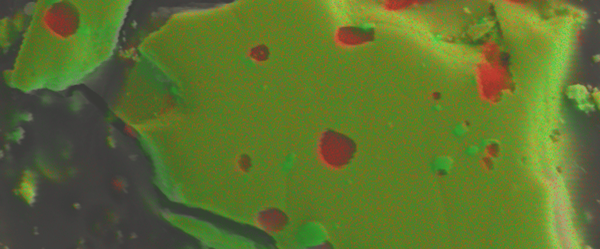zoom in on elemental map of TaSi2 sample taken using EDS - it looks strikingly similar to the WDS map. 