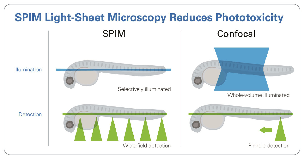 SPIM Diagram