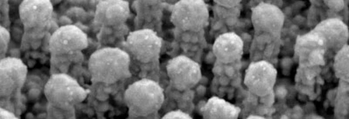 EDS on the Nanoscale in TEM-STEM and SEM