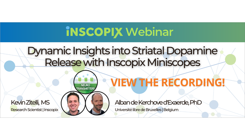 Dynamic Insights into Striatal Dopamine Release with Inscopix ...