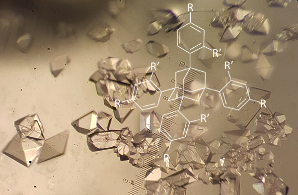Tetraaryladamantanes as co-crystallization chaperones