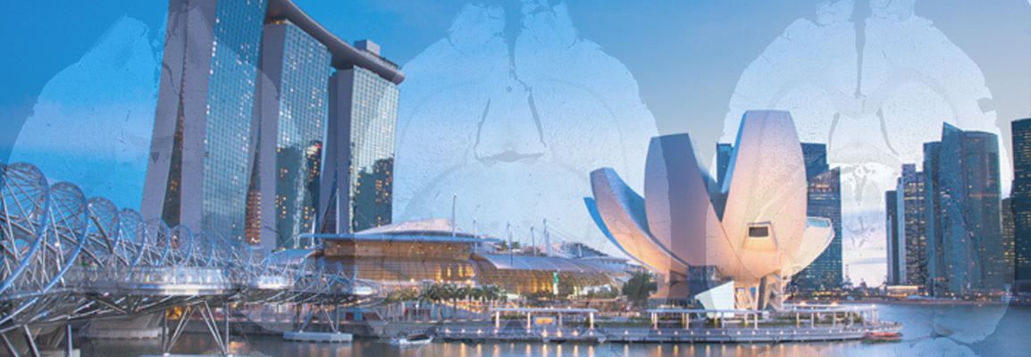 Developing AI Algorithms for Generating and Segmenting Multimodal MRI Brain Images Across Species