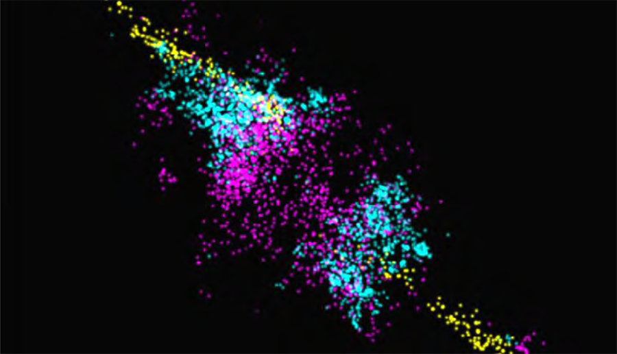 Three-color imaging of U2OS cells using Vutara 352 SMLM microscope.