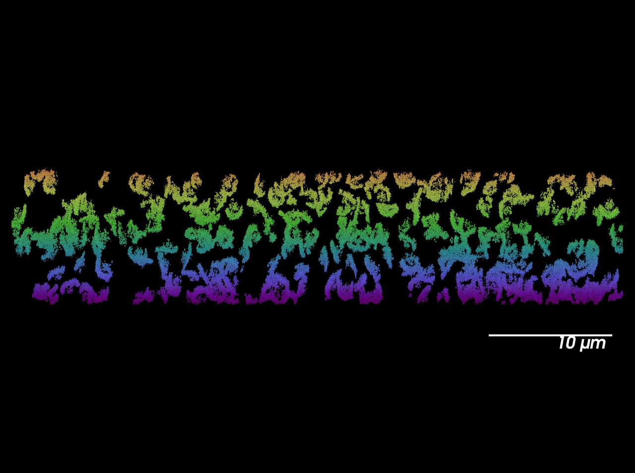 Retinal Synapses as imaging by the Vutara VXL