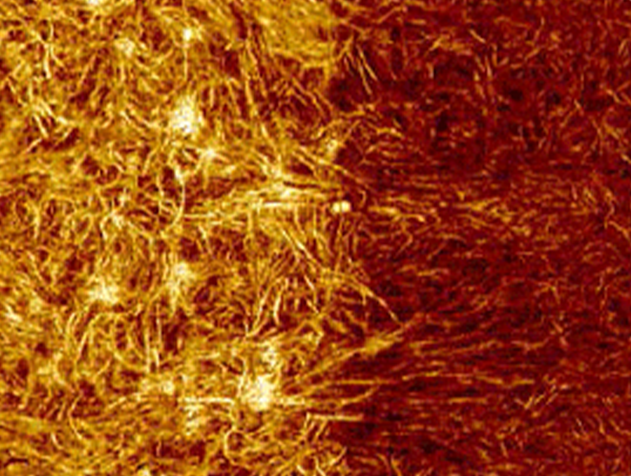 Modulus image showing the transition between the ULDPE tie layer to the PS/LDPE sealant layer of a cross-sectioned packaging material. Image size 3μm.