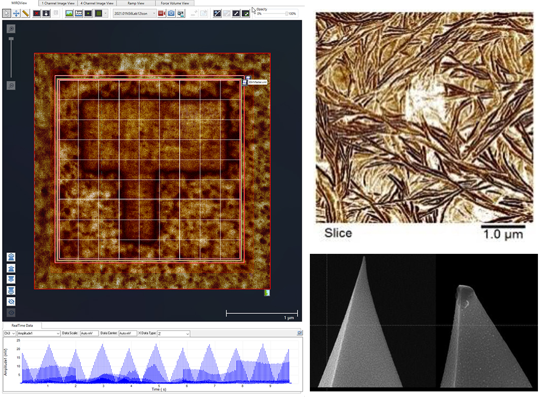 Clockwise from left: MIROView canvas with SS-PFM RampScript array on PFM image; DCUBE-PFM image of polymer lamellae; worn tip after use in contact mode.