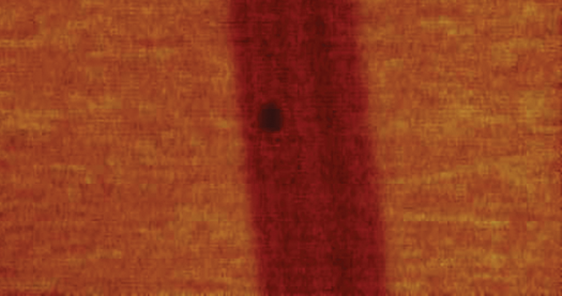 Scanning Thermal Microscopy (SThM)