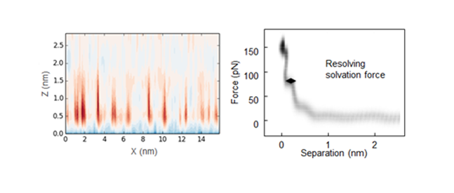 Dimension FastScan AFM - PeakForce Capture