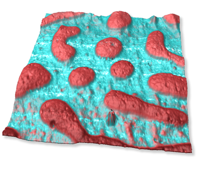 Dimension FastScan AFM - Loss Modulus of PS Matrix and PMMA