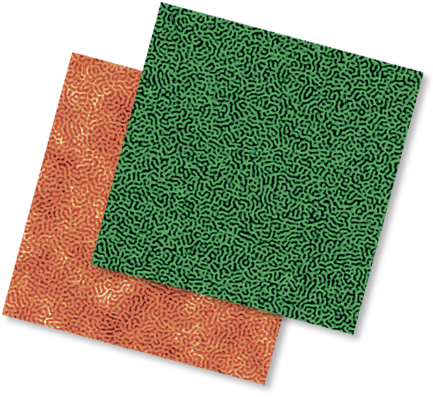 High-Resolution Topography and Phase Image of Triblock Copolymer