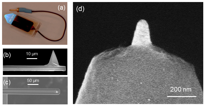 Pre-mounted PeakForce SECM probe with SEM side and top views showing 15 µm Pt path and exposed Pt-coated tip apex (~50 nm diameter).