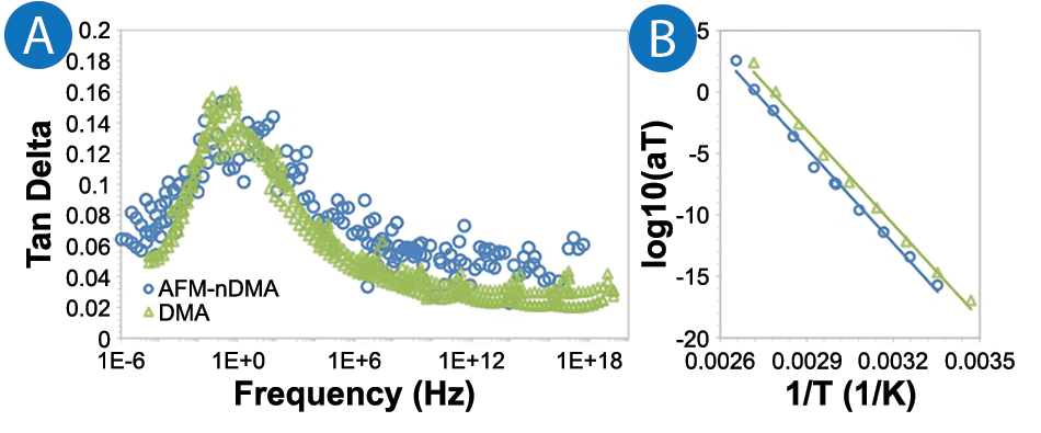 Loss tangent master curves and Arrhenius TTS shift factors for FEP via AFM-nDMA and bulk DMA with activation energies around 490 kJ/mol.
