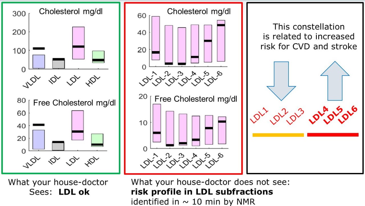 A standardized NMR solution to support Biobanks Challenges Bruker