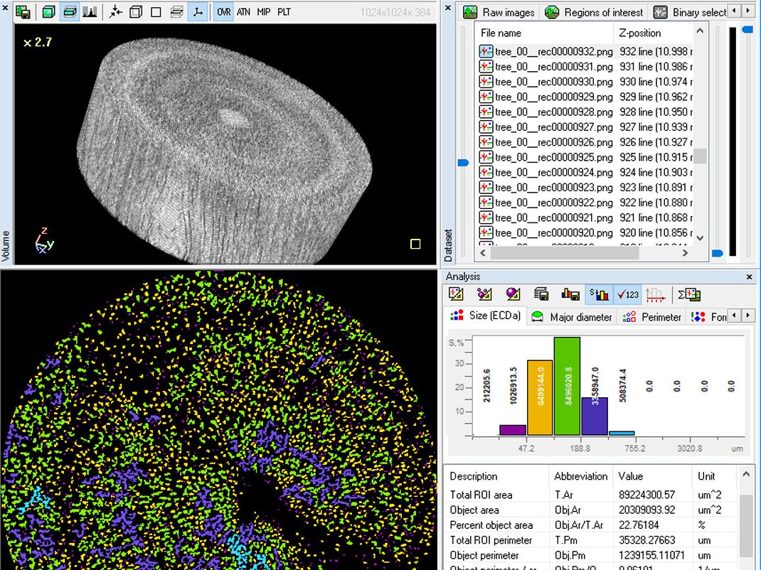 3D Image analysis with CTAN