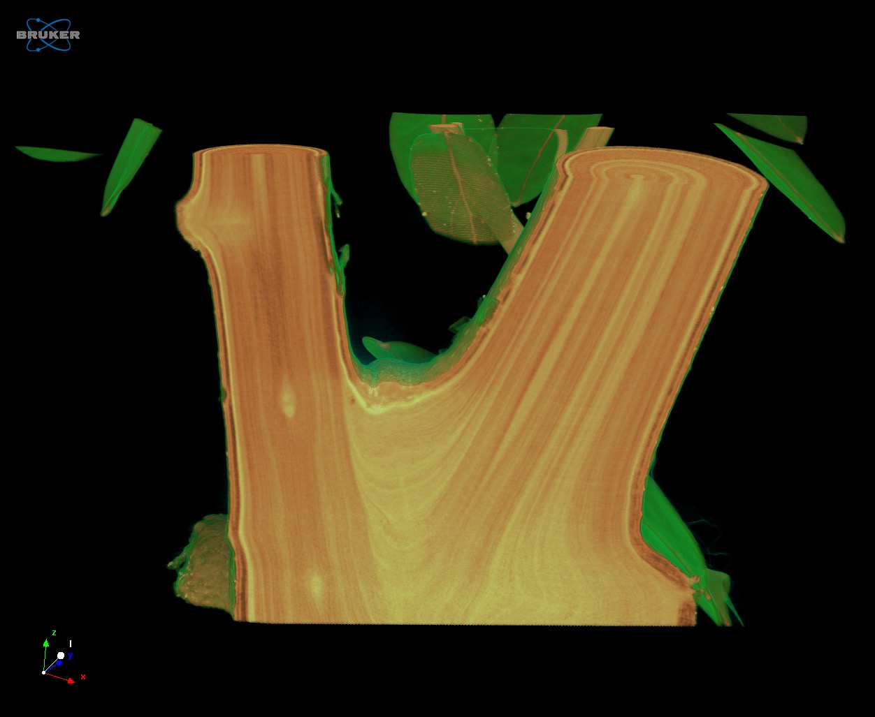 High Capacity 3D X-ray Microscopy | Solutions | SKYSCAN 1273 | Bruker