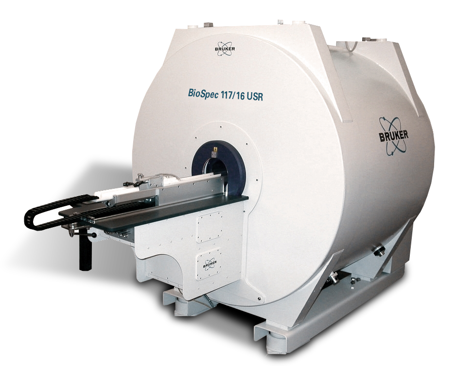 UHF MR imaging | Small Animal Imaging | Bruker