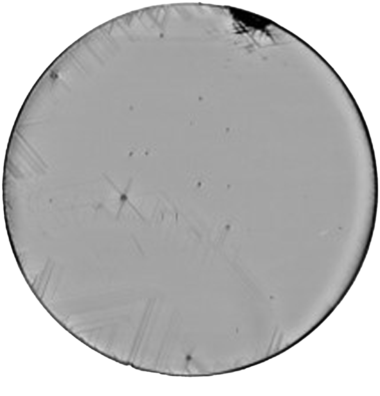 High-speed XRDI survey image of Si wafer with GaN epilayer showing multiple micropipes, dislocations, and slip