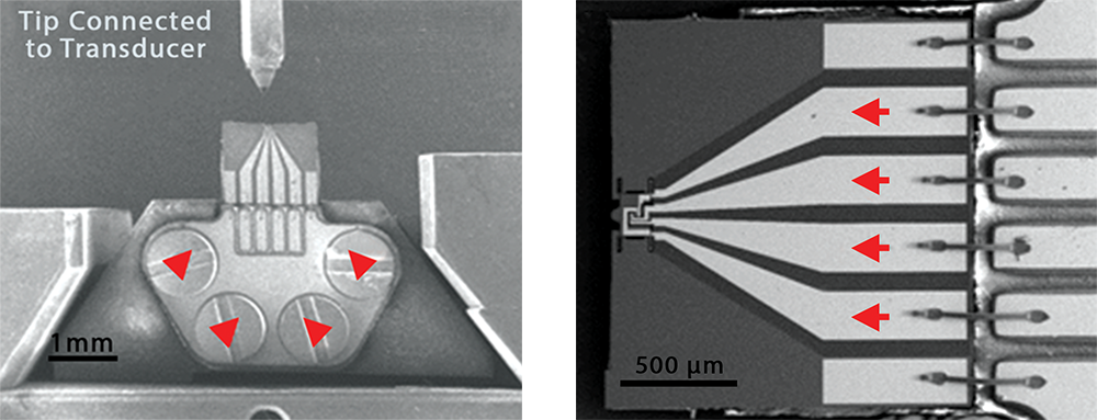 Close-up view of E-PTP device with four probes and electrical connections mounted on Hysitron PI 85L