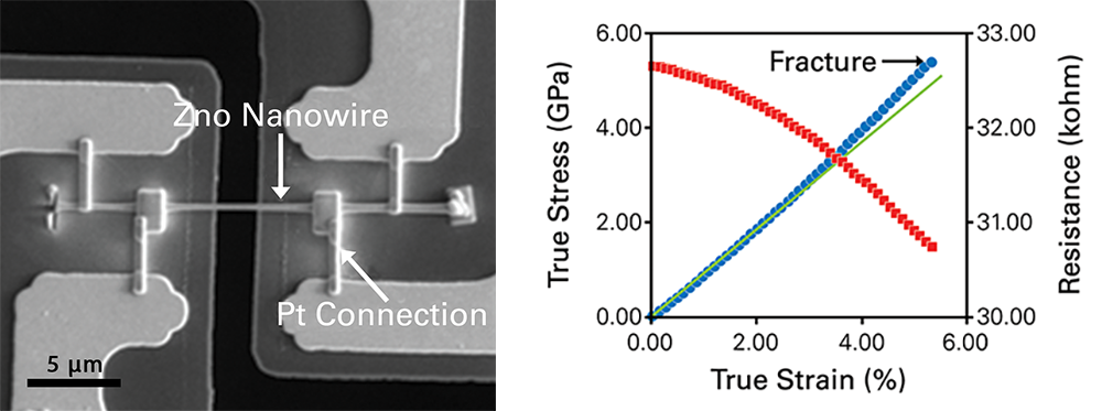 A ZnO nanowire mounted on E-PTP with four leads connected, and stress-strain and resistance-strain curves displayed.