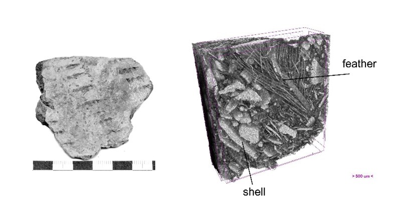 Pores resulting from crushed shells and feathers in a ceramic sherd