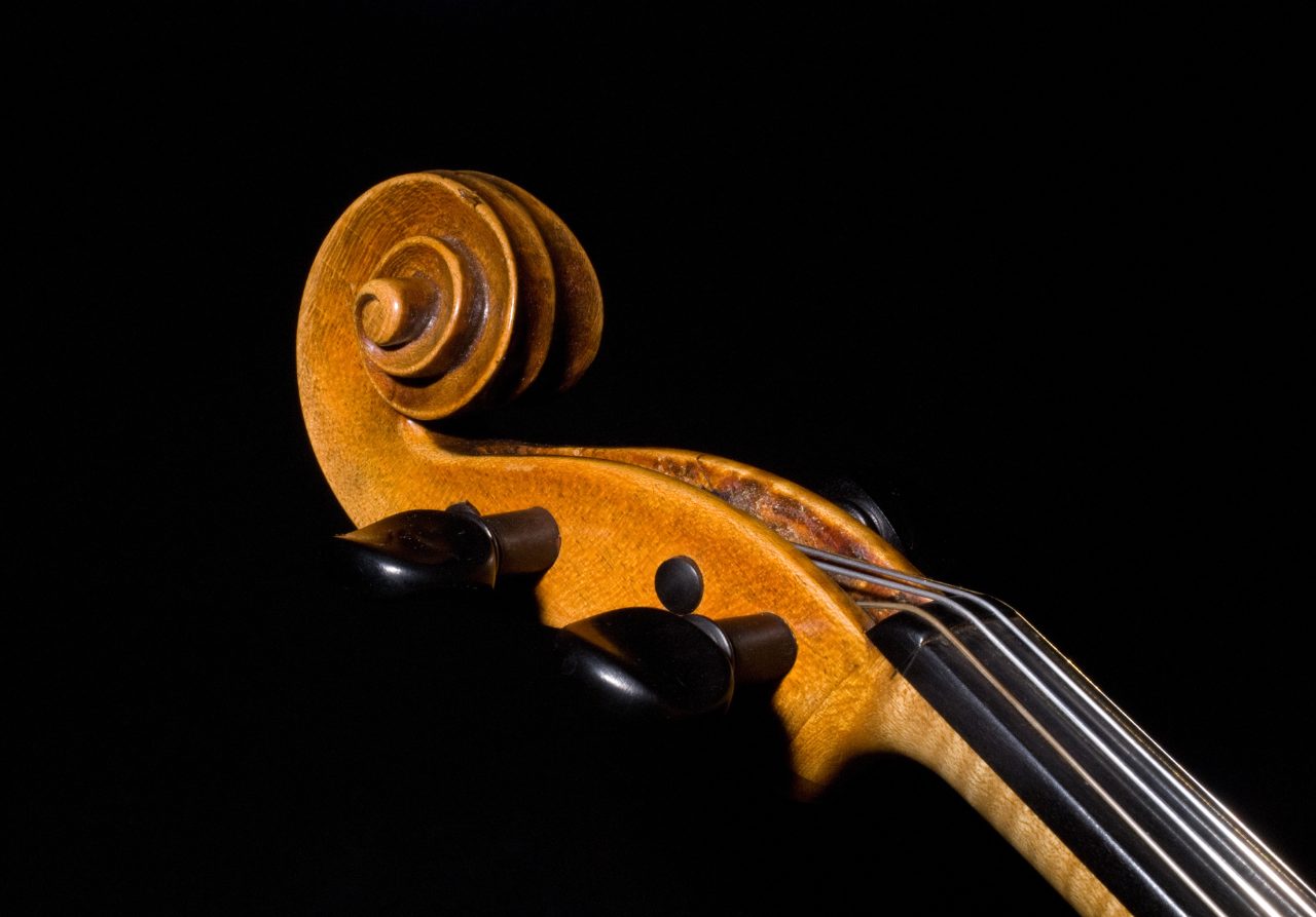 violin