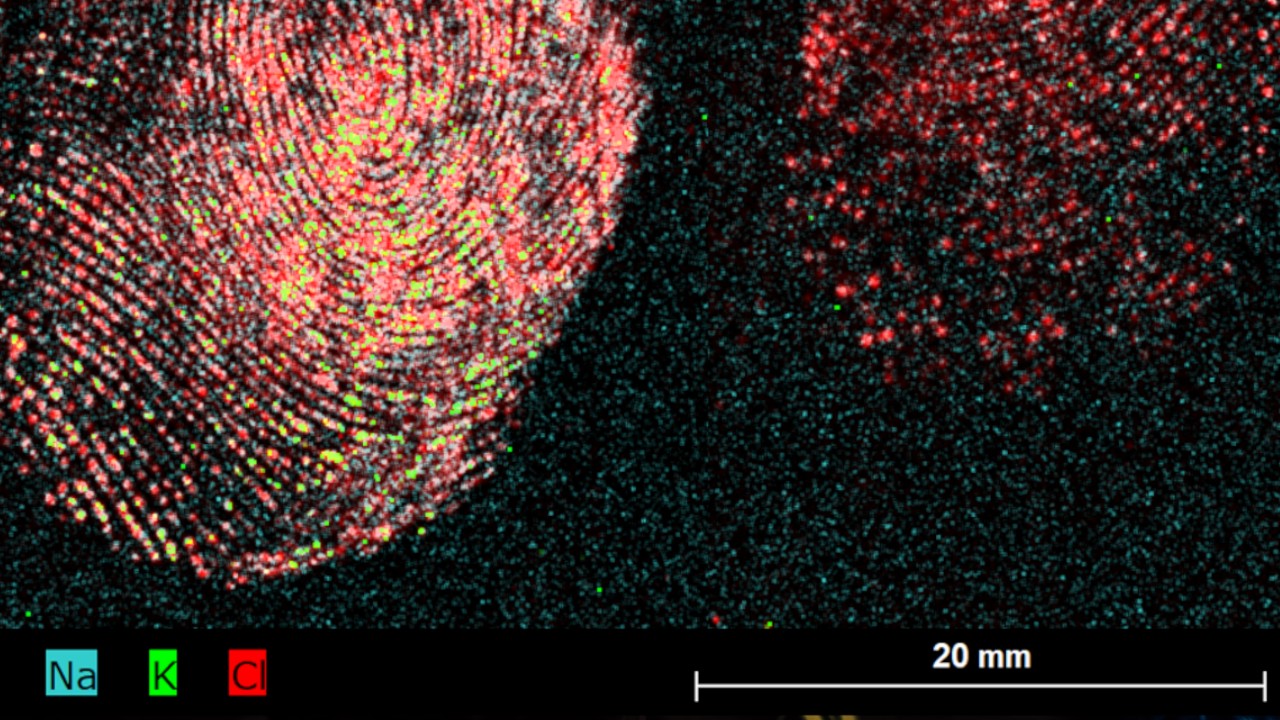 Forensics fingerprints