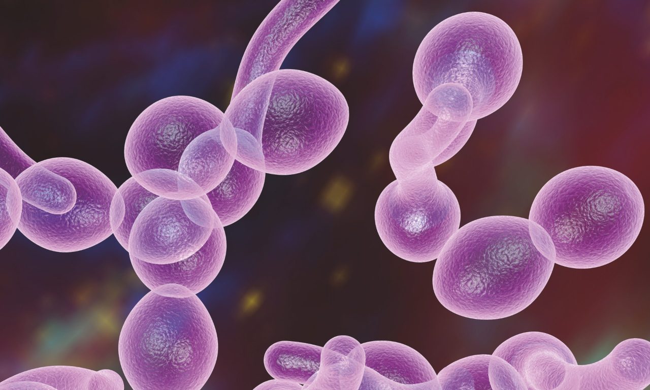 microbiology & diagnostics