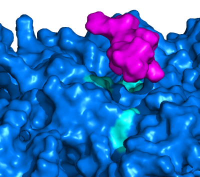 Example of GHz-NMR enabled research on Nucleosomes serving as a binding platform for hundreds of proteins to regulate processes such as gene expression and DNA repair.