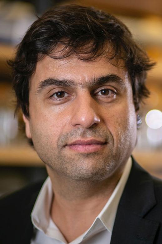 Professor Hashim M. Al-Hashimi of Columbia University, New York