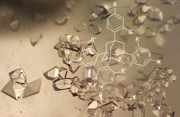 Tetraaryladamantanes as co-crystallization chaperones