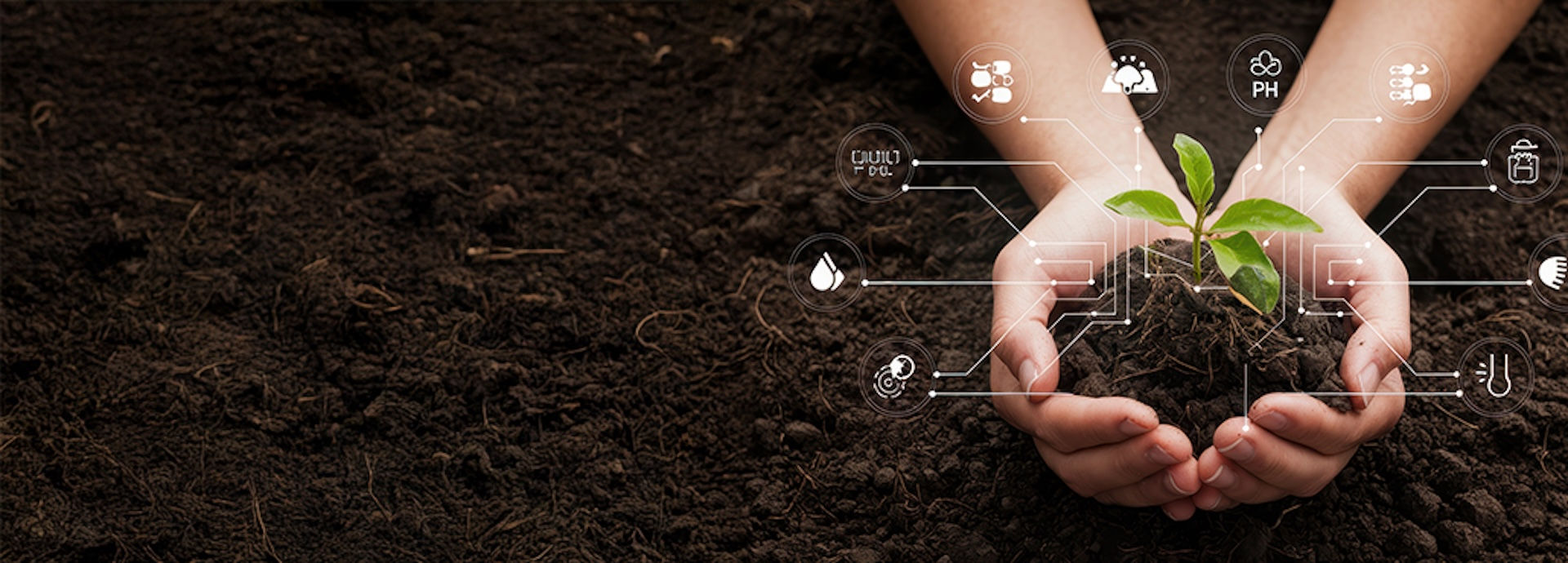 Accelerating Soil Health Assessment: High-Throughput Analysis with IR and EPR Spectroscopy
