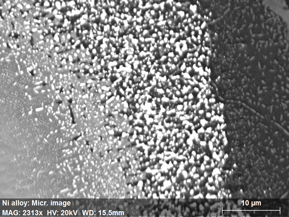ARGUS BSE image of the thermal barrier coating