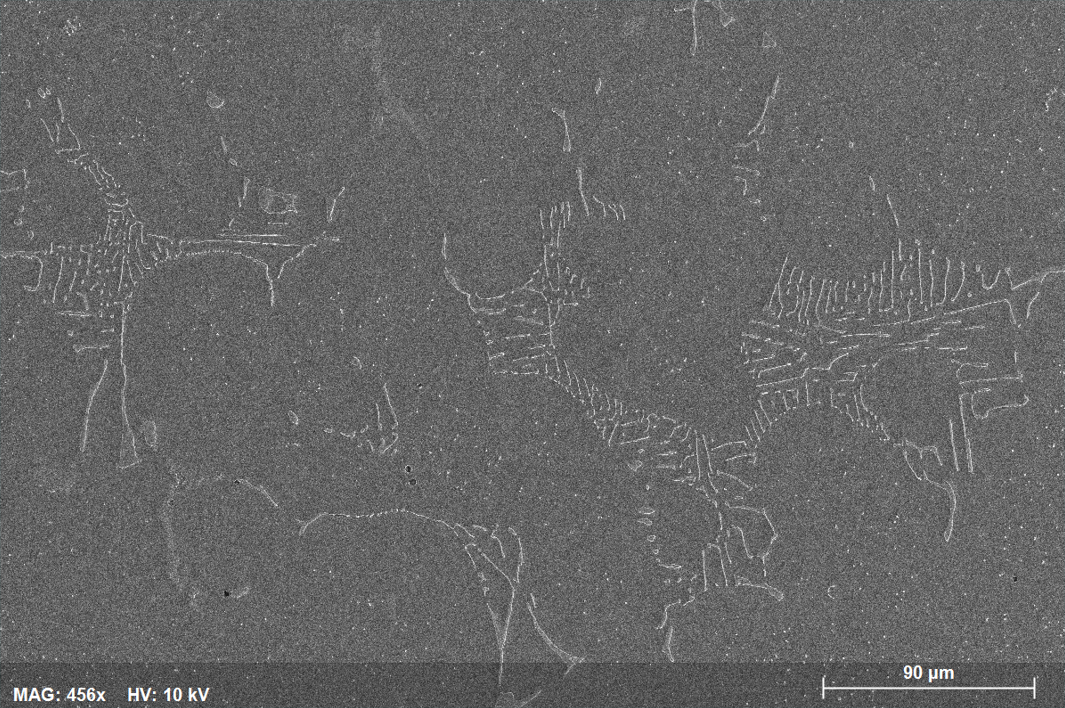 Fig. 2: SE image of niobium (Nb) microalloying in engineering steel