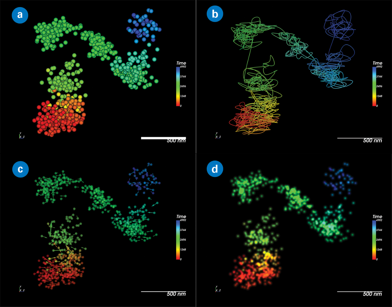 SRX visualizations of QD655 tracks by time: (a) point cloud; (b) streamlines; (c) vectors; (d) image-like view.