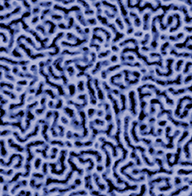 Innova AFM - Microphase Separation in a SBS Triblock Copolymer