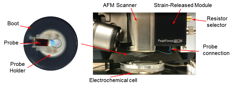 PeakForce SECM accessories with pre-mounted nanoelectrode probe for high-resolution electrochemical imaging.