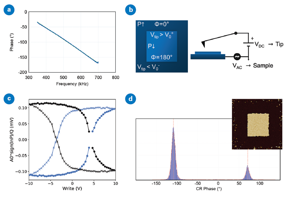 Diagram illustrating compensating for instrumental phase shifts. The first sub-image (a) displays the measured phase from the lock-in depending approximately linearly on frequency, with a phase shift of about -4 deg/kHz. The second sub-image (b) shows domain polarization and the expected phase after applying negative and positive DC tip voltages to pole concentric domains in a ferroelectric sample with a known positive electrostrictive coefficient. The third sub-image (c) showcases how the direction of ferroelectric hysteresis loops may be inverted when probes of different frequencies are used if this phase shift is not compensated. The fourth sub-image (d) displays a histogram of phase data from a DCUBE CR-PFM map (inset) after poling with the pattern in (b), with peaks at -109° (outer domain) and +71°.
