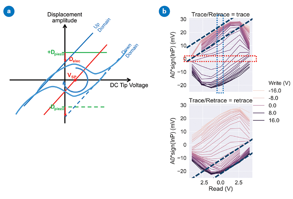 Diagram illustrating PFM response with applied bias on ferroelectric samples. The first sub-image (a) shows a schematic of ferroelectric hysteresis without electrostatics (green), with electrostatics on a non-ferroelectric sample (red), and with both electrostatics and ferroelectric behavior (blue). The second sub-image (b) displays cKPFM plots from a ferroelectric material at different write voltages. The dashed black lines indicate the electrostatic response in the part of the hysteresis curve where the ferroelectric response of the sample is saturated. If the sample were an ideal dielectric, the red dashed box would indicate the surface potential for the sample which changes from one write voltage to the next due to charge injection from the tip. The blue dashed box indicates the PFM response for the off-field hysteresis loop. Data is from a PZT sample with DC voltage applied to the tip and AC to the sample.