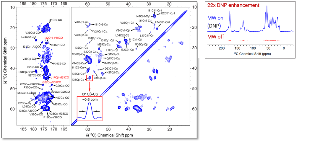 DNP-NMR | Dynamic Nuclear Polarization | Solid State NMR | Bruker