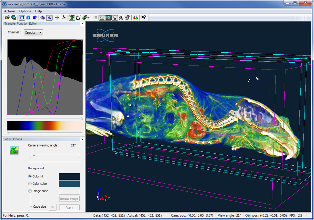 3D rendered volume of a mouse body