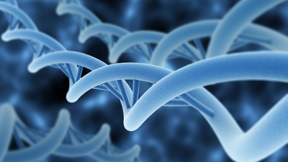 Nucleic Acid/Protein Imaging Bruker