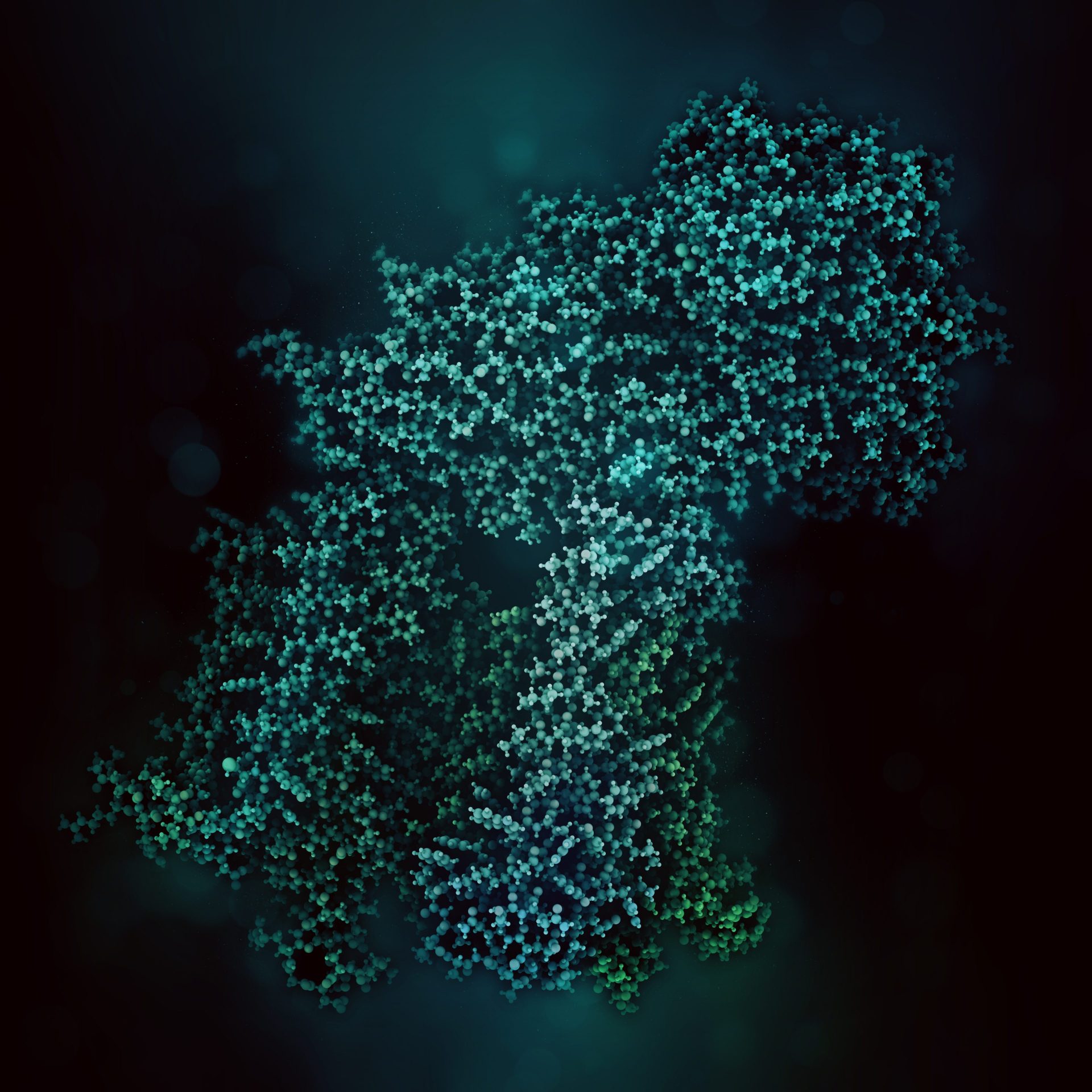 Structural Biology