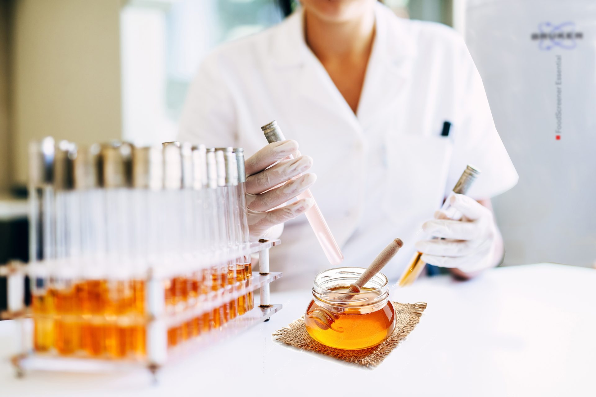 Honey Analysis with NMR