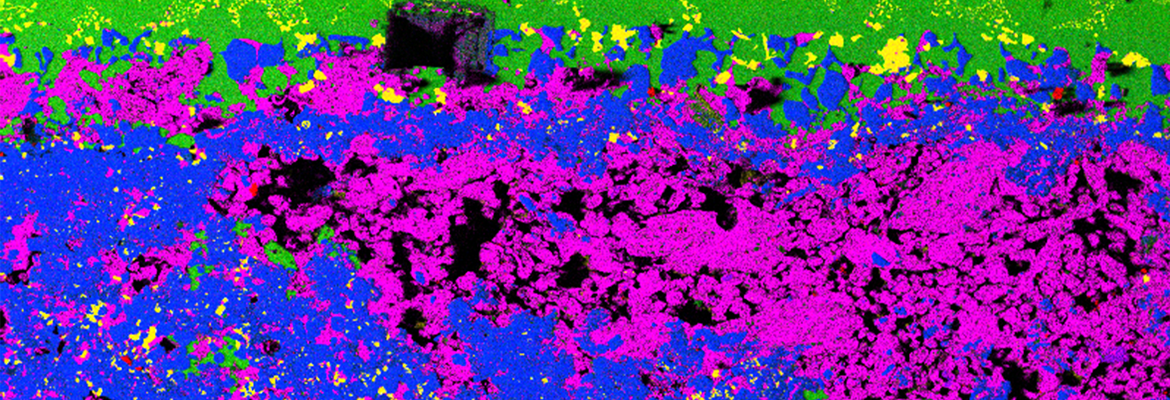 Quantifying Historic Pesticide Residues on Collections: Practical Approaches with micro-XRF