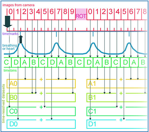 4D 时间解析显微断层扫描