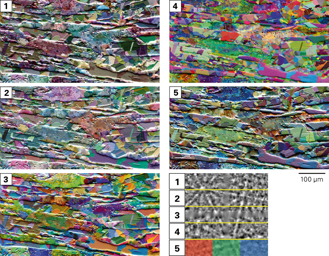 VFSE 图像显示了双相不锈钢样品的取向和形貌衬度