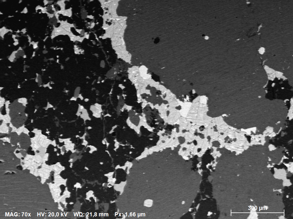 Atomic contrast image acquired with ARGUS imaging detector